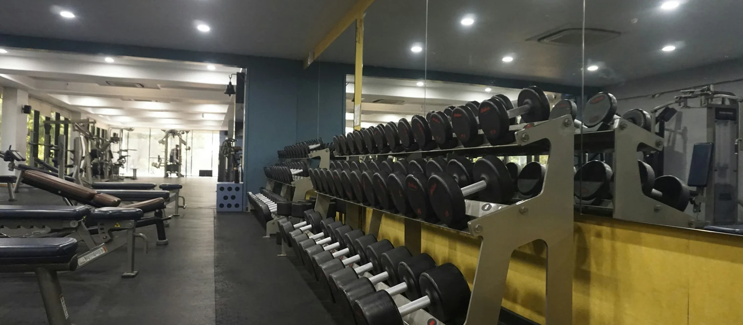 Dumbbell rack with bench and barbell